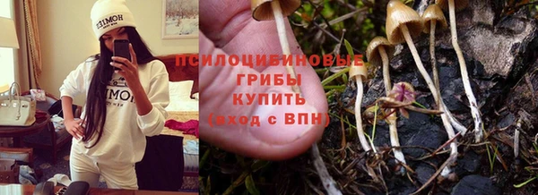 кокс Абдулино