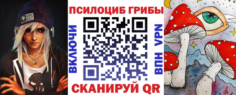 купить наркотик  Карабулак  Псилоцибиновые грибы GOLDEN TEACHER 