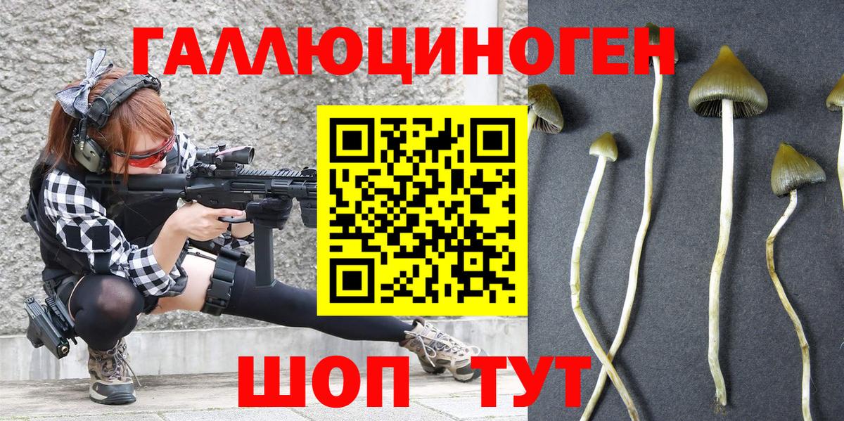Карабулак  Галлюциногенные грибы мухоморы  Вход с VPN 